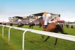 Bath Racecourse