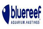 Blue Reef Aquarium