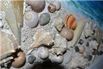 Kela's SEASHELL Art Decor Studio