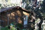 Blue Door Cabin