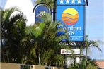 Comfort Inn All Seasons