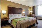 Comfort Inn Hotel Kent