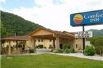 Comfort Inn - Maggie Valley