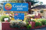Comfort Inn Monterey by the Sea