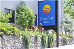 Comfort Inn Yosemite Area