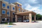 Comfort Suites Fort Worth South