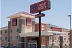 Comfort Suites Pecos