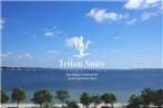 Triton Suite - [#23966]