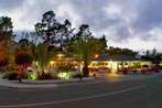 Monterey Pines Inn