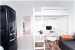 Scandinavian Studio Apartment