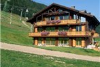 Apartment Chalet Matine