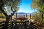 Cabane Dans les Arbres