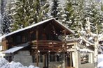 Chalet vue Mont-Blanc