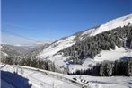 Appartement Meribel