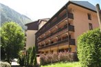 Beautiful Apartment in Chamonix with Mountain View