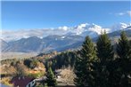 Large apt 80m Superb view Mont-Blanc 6p