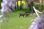 Cottage Prairie Bonheur