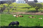 Herdade Ribeira de Borba