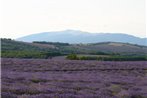 Holiday Home Entre Pins Et Vignes Rochegude