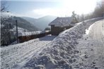 Mountain View Chalet in Ventron near Ski Area