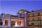 Holiday Inn Express Hotel & Suites Macon-West