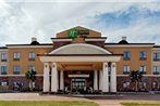 Holiday Inn Express Hotel and Suites - Odessa