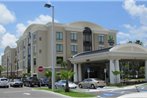 Holiday Inn Express Hotel & Suites Tampa-USF-Busch Gardens