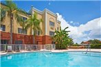 Holiday Inn Express Hotel Clearwater East - ICOT Center