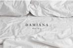 Hotel Damiana Boutique