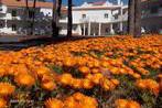 Hotel Rural Monte da Leziria