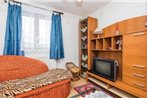 Studio Apartment in Ravna Gora