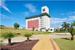 Ibis Londrina