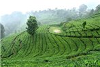 Blackcherry Munnar