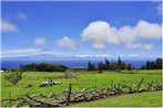 Kohala Lodge- Vacation Rental House