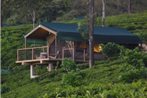 Madulkelle Tea and Eco Lodge