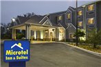 Microtel Inn & Suites by Wyndham Jacksonville Airport