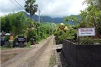 Molleh Guest House