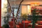 Novotel Roissy Saint Witz