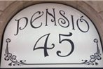 Pension 45