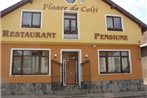 Pension Floare de Colti