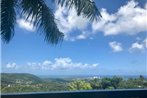 Million dollar view in Puerto Rico