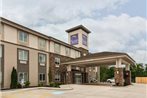 Sleep Inn & Suites Moundsville