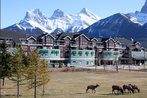 Sunset Resorts Canmore