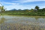 Ubud Rice Field Villa