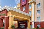 Comfort Suites Denham Springs