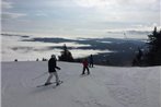 Mountain Lodge at Okemo