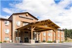 Comfort Inn & Suites - Custer