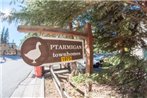 Ptarmigan Townhomes #24