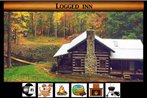 Logged Inn Cabin