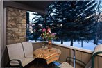 Standard Two Bedroom - Aspen Alps #304